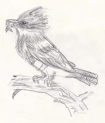 Drawing Fall 26 Q2